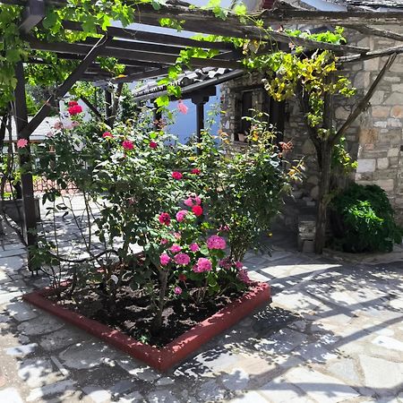 Venus Guesthouse Portariá Dış mekan fotoğraf