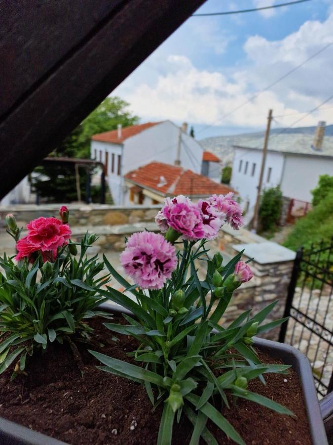 Venus Guesthouse Portariá Dış mekan fotoğraf